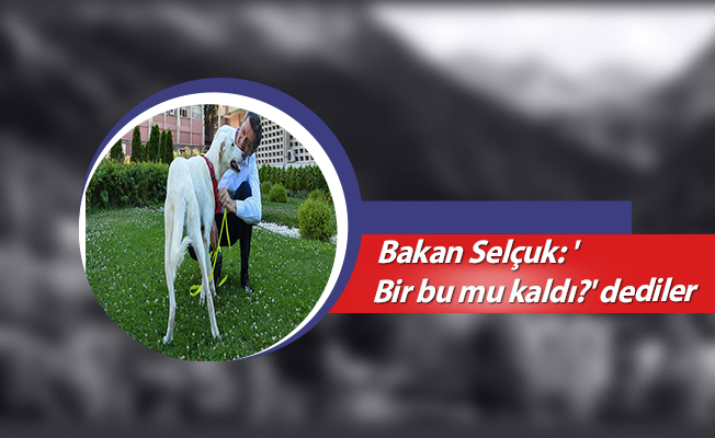 Bakan Selçuk: 'Bir bu mu kaldı?' dediler