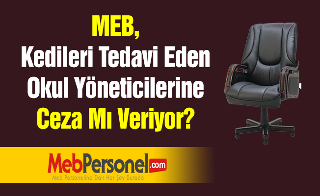 MEB, Kedileri Tedavi Eden Okul Yöneticilerine Ceza Mı Veriyor?