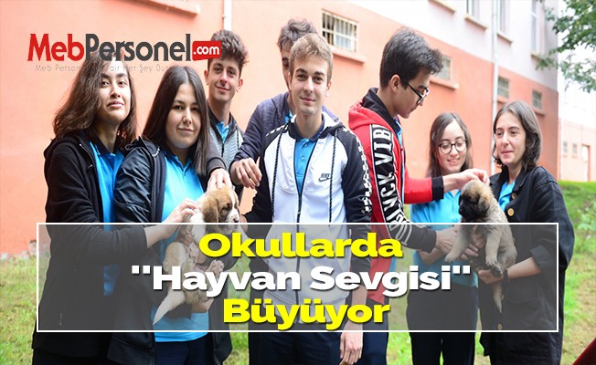 Okullarda Hayvan Sevgisi Büyüyor