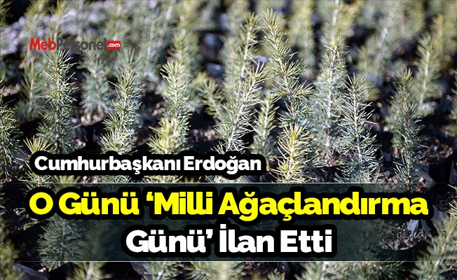 O Gün 'Milli Ağaçlandırma Günü' İlan Edildi