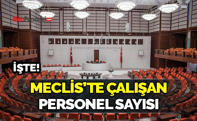 Meclis'te ne kadar personel çalışıyor?
