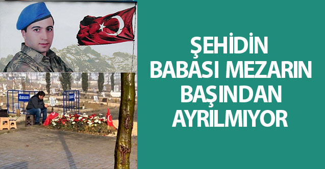 ŞEHİDİN BABASI MEZARIN BAŞINDAN AYRILMIYOR