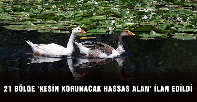 21 bölge ‘kesin korunacak hassas alan’ ilan edildi