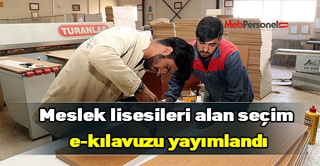 Meslek lisesi 9.sınıf öğrencileri için alan seçim kılavuzu yayımlandı
