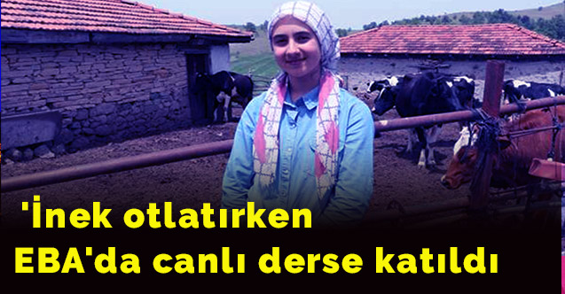 'İnek otlattı' EBA'da canlı derse katıldı