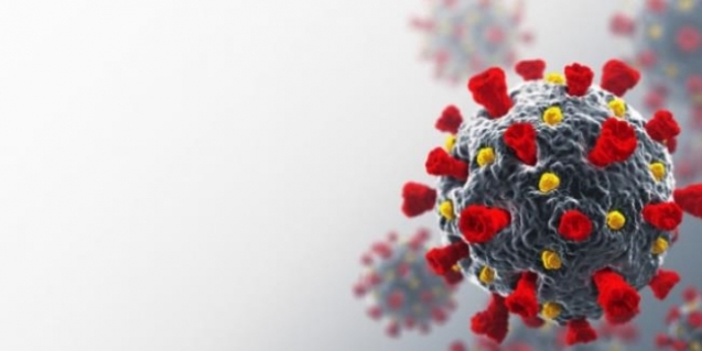 Covid-19'da aşıya gerek olmayabilir