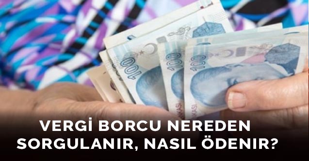 Vergi Borcu Nereden Sorgulanır, Nasıl Ödenir?