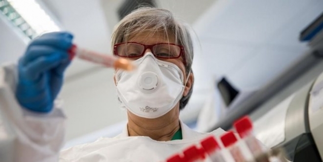 Koronavrirüsü etkisiz hale getirebilen antikorlar izole edildi