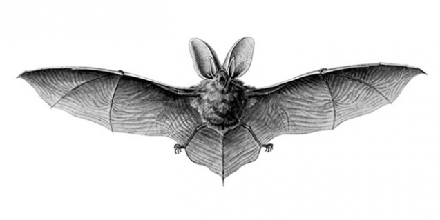 Koronavirüs 2012'de ortaya çıktı