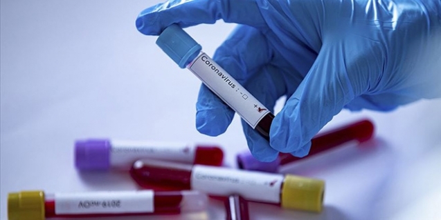 Kaymakam ve belediye başkanının testi pozitif çıktı