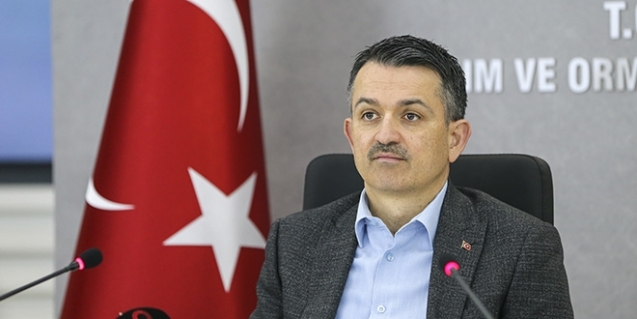 "Yanan alanların tamamı ağaçlandırılacak"