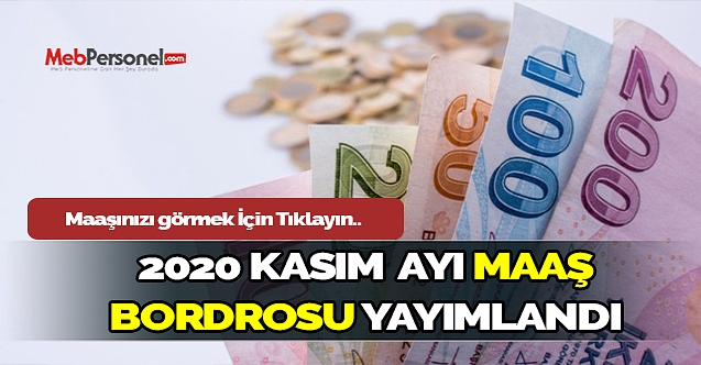 2020 Yılı Kasım Ayı Maaş Bordrosu Yayımlandı