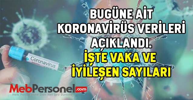 Koronavirüs Vaka ve Hasta Sayısındaki Düşüş Devam Ediyor