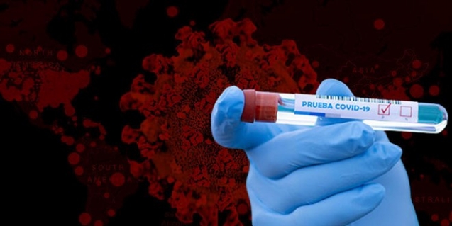 Türkiye'de mutasyonlu koronavirüsün görüldüğü iller