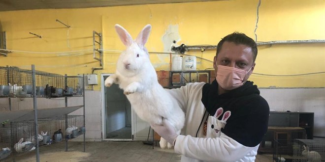 Öğretmenliği bırakıp tavşan çiftliği kurdu