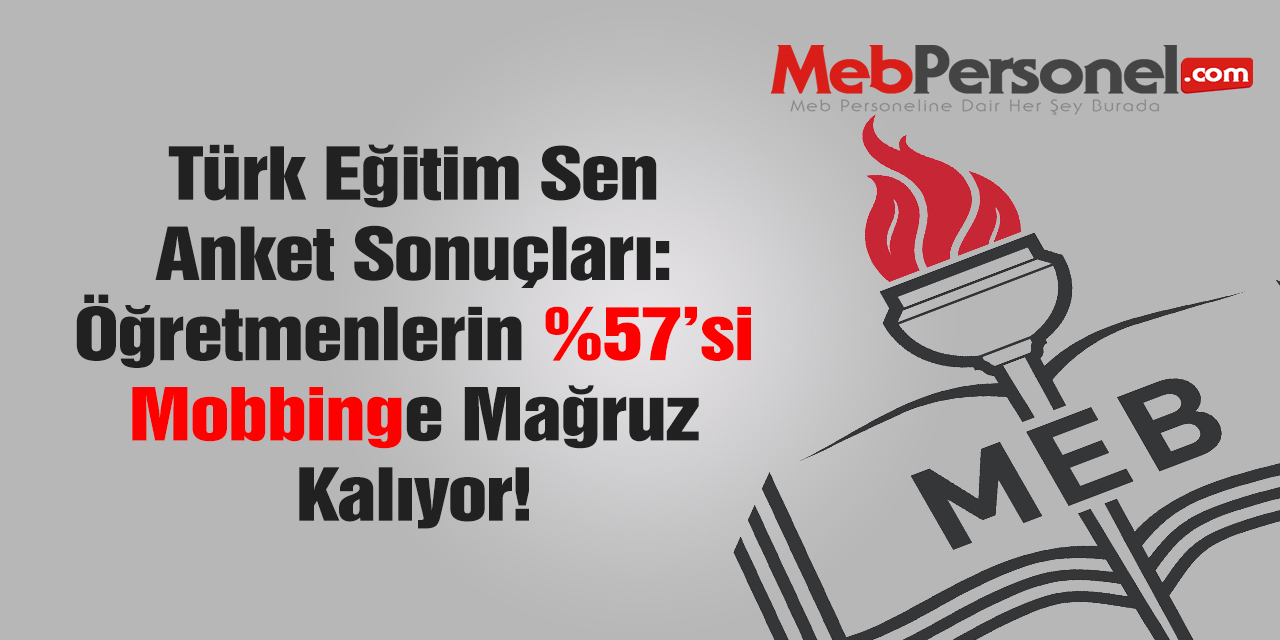 Türk Eğitim-Sen'in Yaptığı Anketten Skandal Sonuçlar Çıktı
