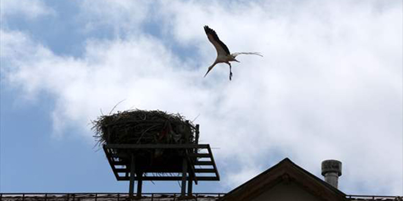 Leylekli okulun ilk misafiri geldi