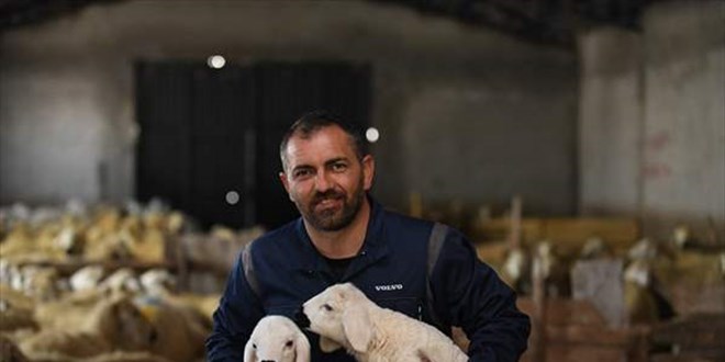 Görevinden istifa eden öğretmen, çok sevdiği hayvancılığa başladı