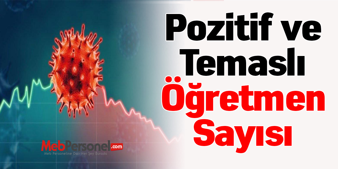 Pozitif ve Temaslı Öğretmen Sayısı