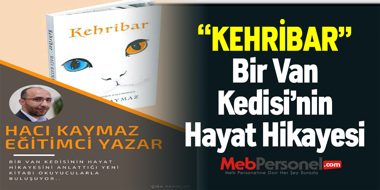 “KEHRİBAR” Bir Van Kedisi’nin Hayat Hikayesi