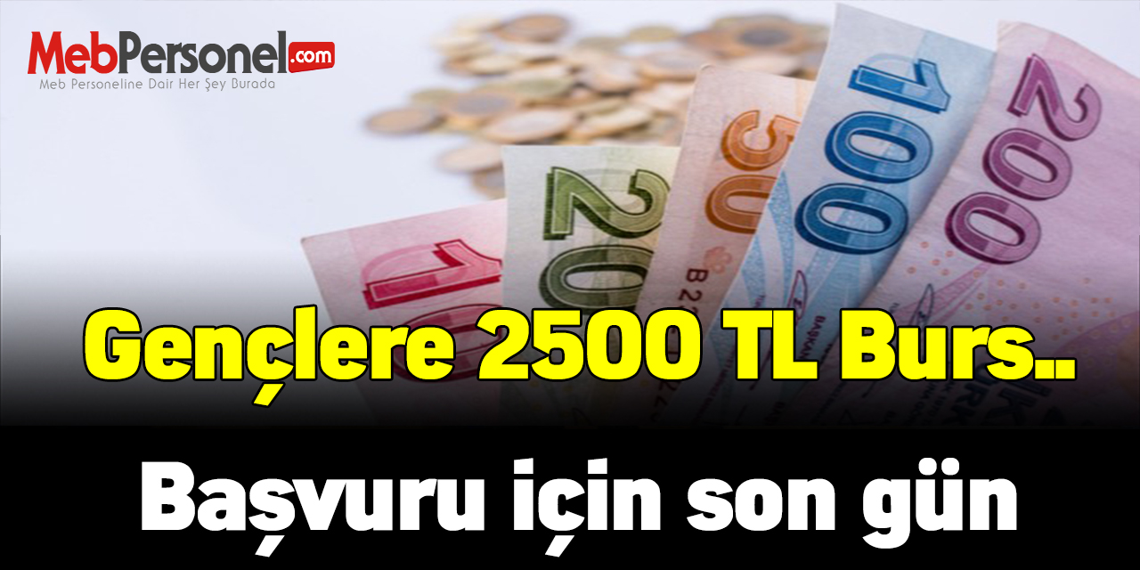 Lisans öğrencilerine 2500 TL, doktora öğrencilerine de 7500 TL burs