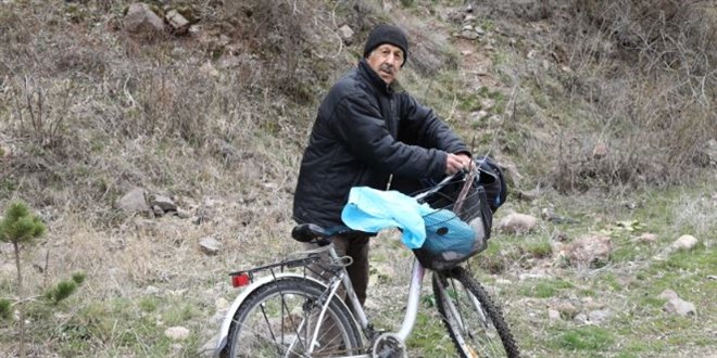 Emekli öğretmen yabani ağaçları meyve vermesi için aşılıyor