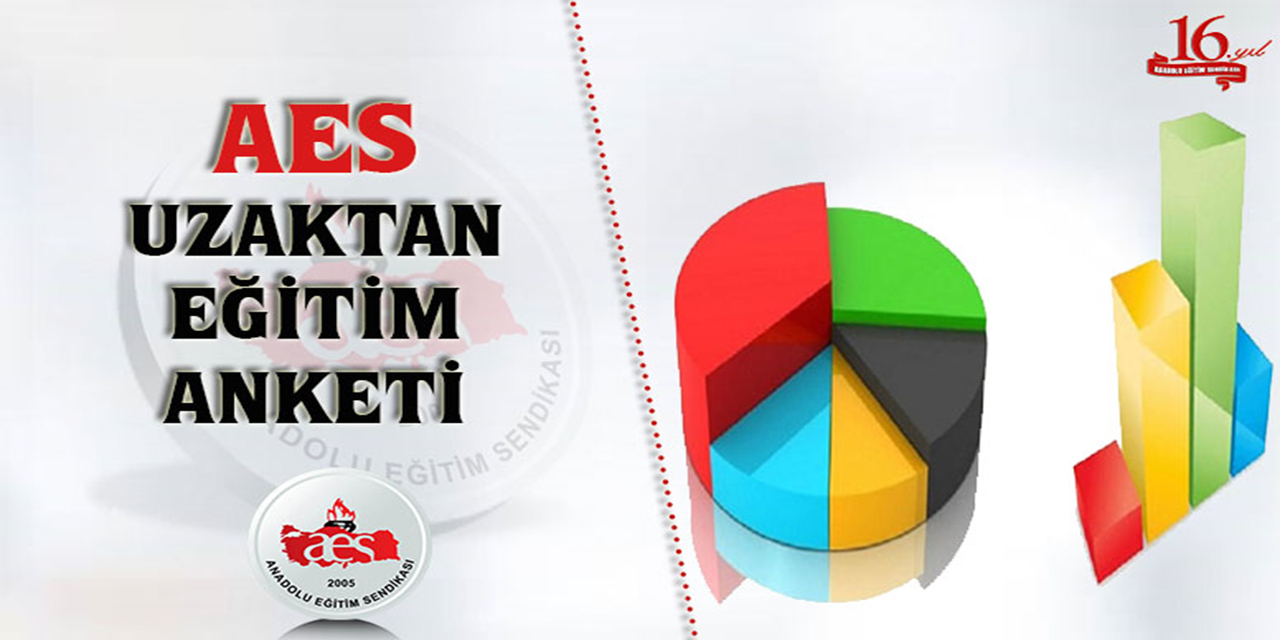 AES, Uzaktan Eğitim Anketi Yapıyor