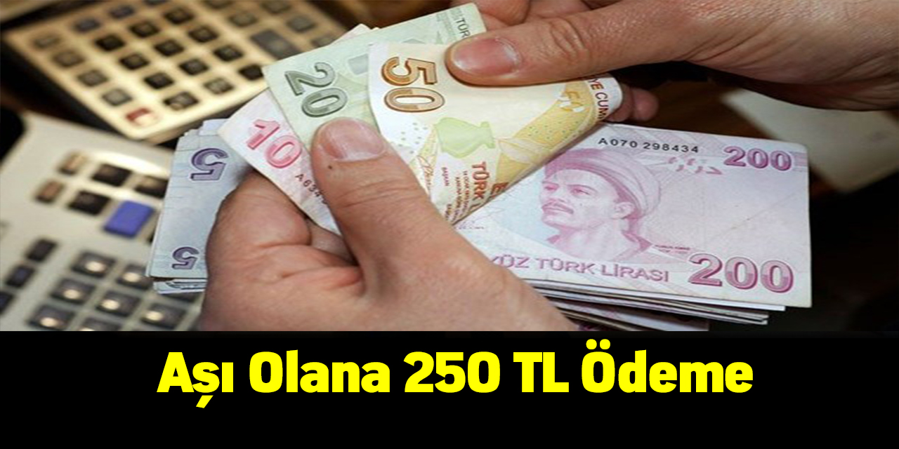 O ülkede aşı olana 250 TL ödeme