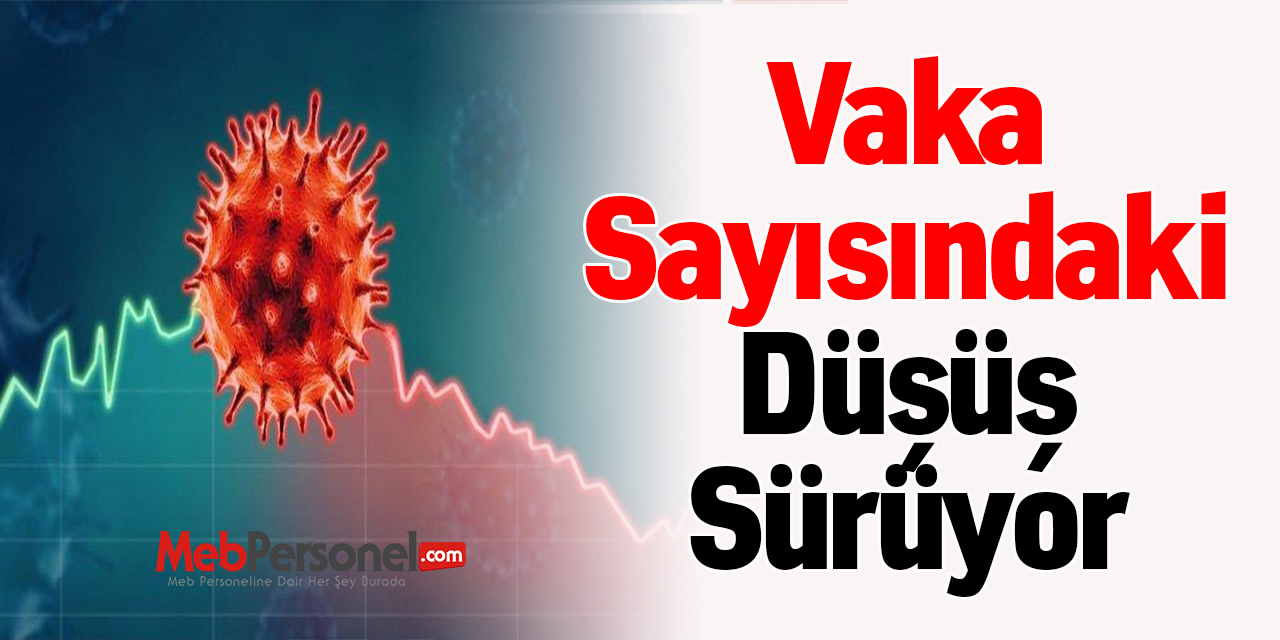 Vaka Sayısındaki Düşüş Sürüyor