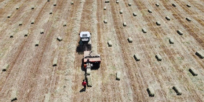 Asgari ücretle çalışırken kendi işlerinin patronu oldular
