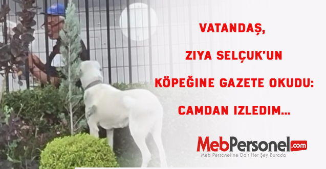 Vatandaş, Ziya Selçuk'un köpeğine gazete okudu: Camdan izledim...