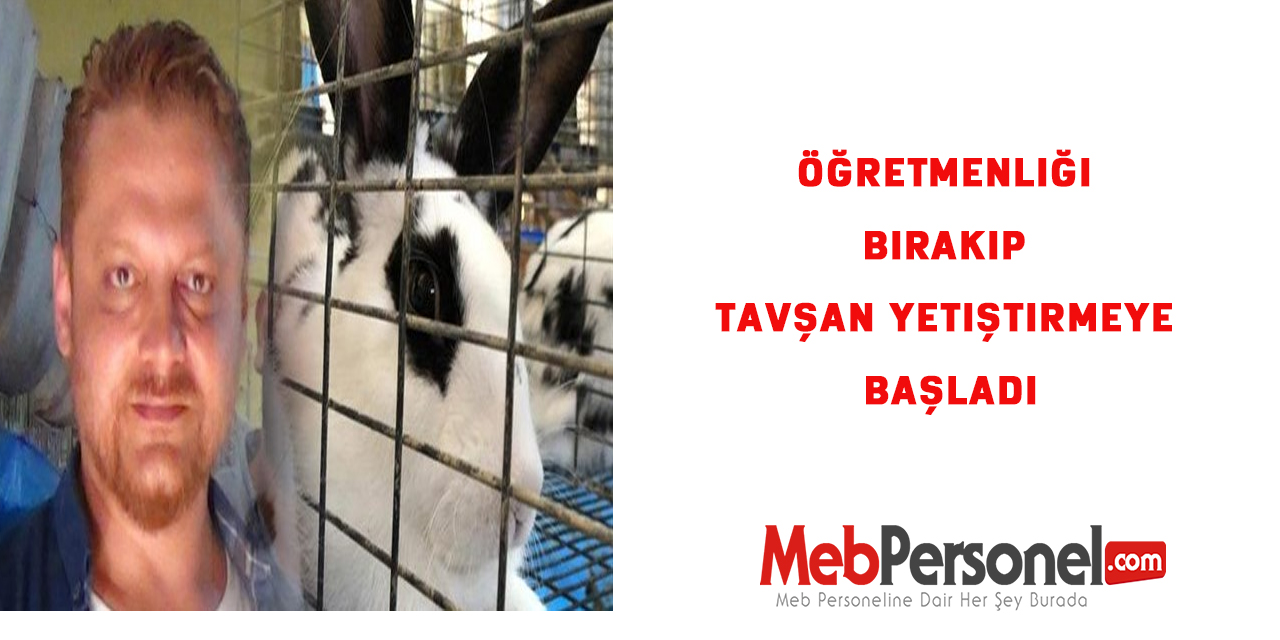 Öğretmenliği bırakıp tavşan yetiştirmeye başladı