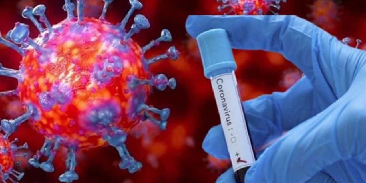 Bilim Kurulu Üyesi Şener'den uyarı : Vakalar artacak