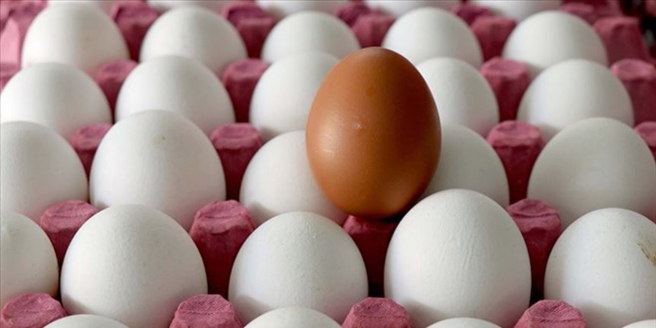 Yumurtanın fiyatı yüzde 65 arttı