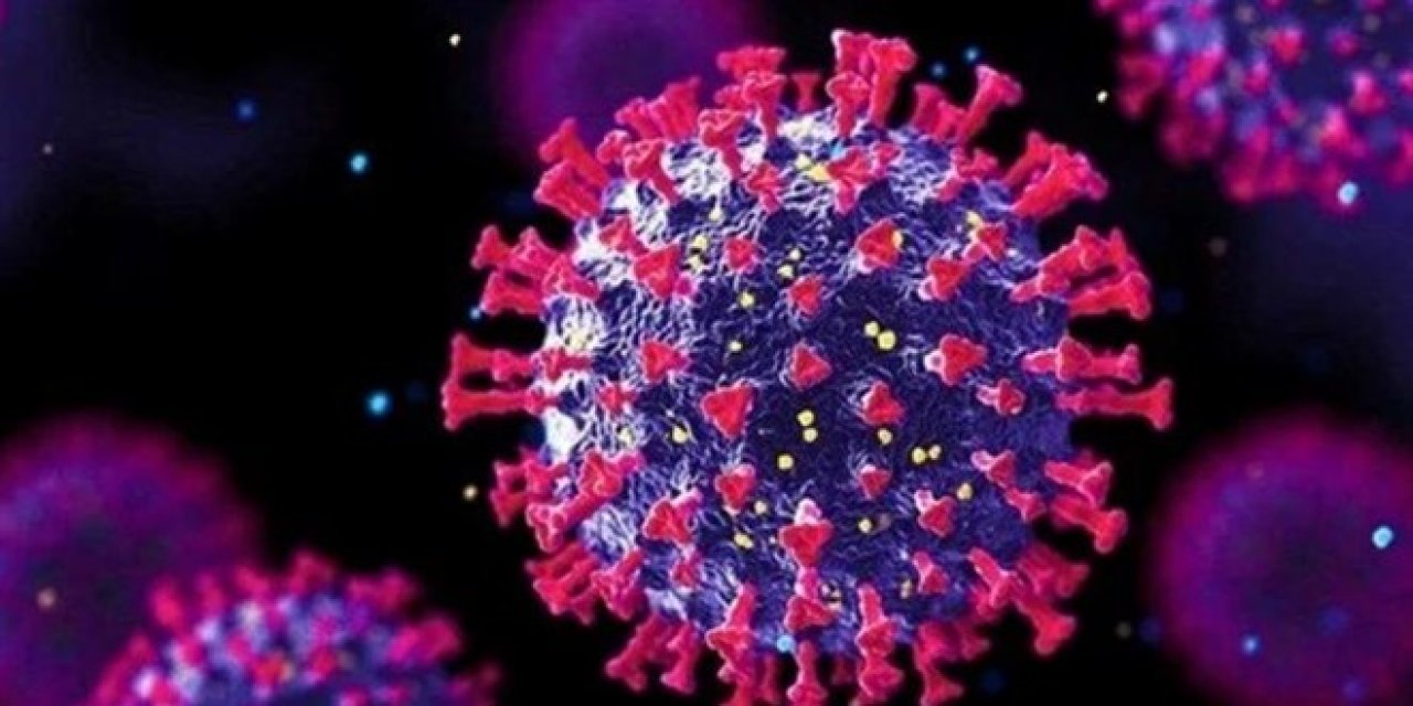Sağlık Bakanlığı'ndan 'Omicron' açıklaması