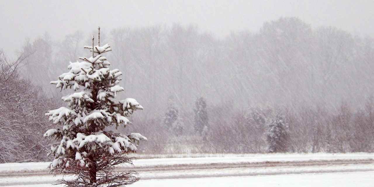 Yarın Kar Tatili Olan İller 22 Aralık 2022