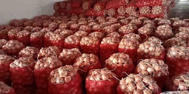 Nisanda fiyatı en fazla artan ürün kuru soğan, en çok düşen salatalık oldu