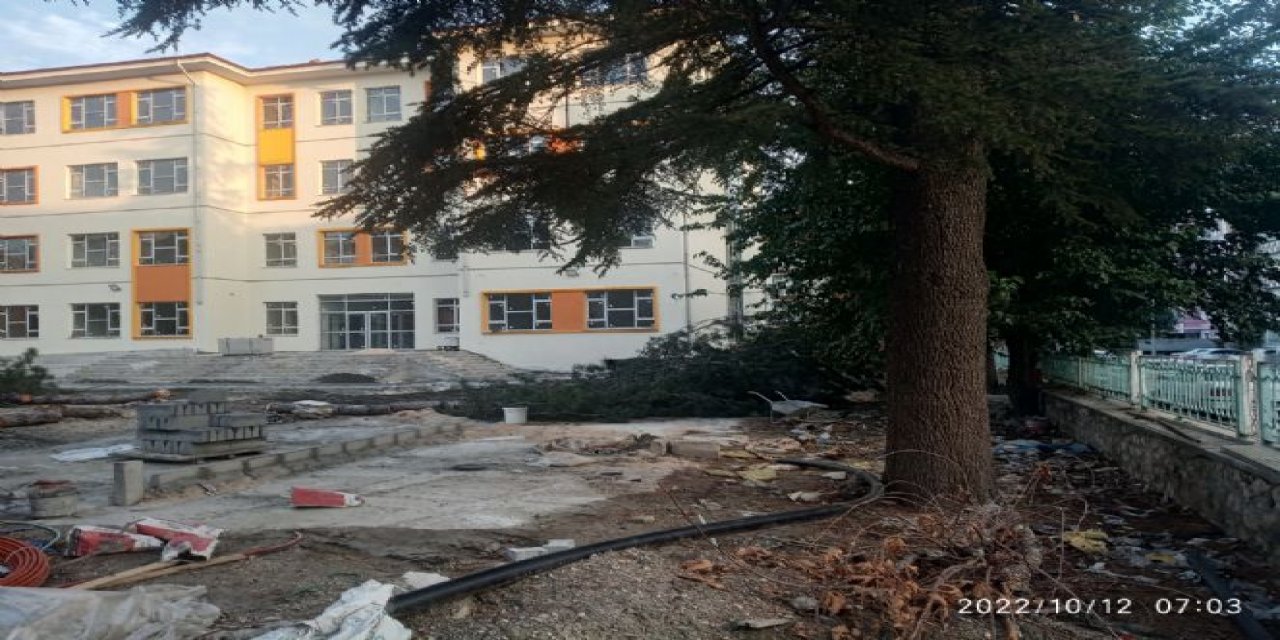 Müdürün talimatıyla okul bahçesinde ağaç katliamı