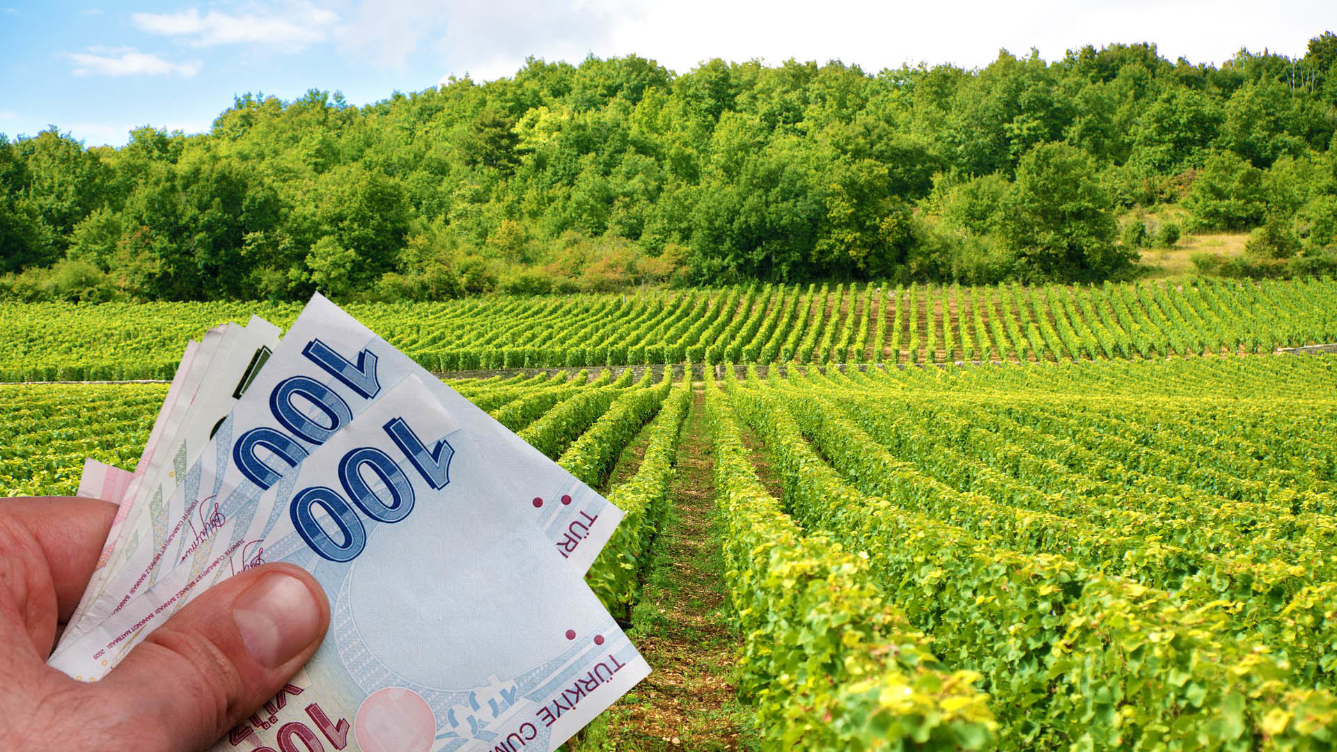 Destek ödemesi için zam müjdesi verildi! Zam haberi Resmi Gazete’de yayınlandı!