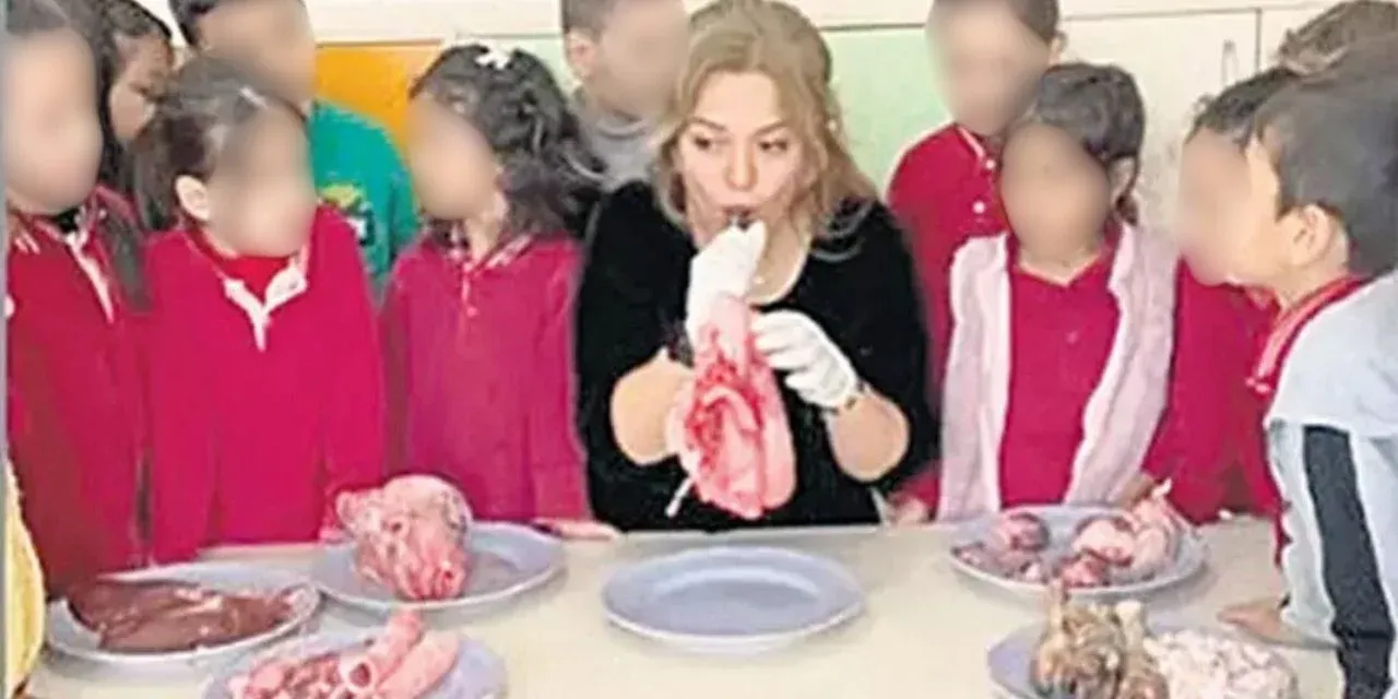 Ana sınıfında yok artık dedirecek olay yaşandı. Öğretmen derse hayvan kellesi ve derisi getirdi! Öğretmene tepki çığ gibi büyüdü