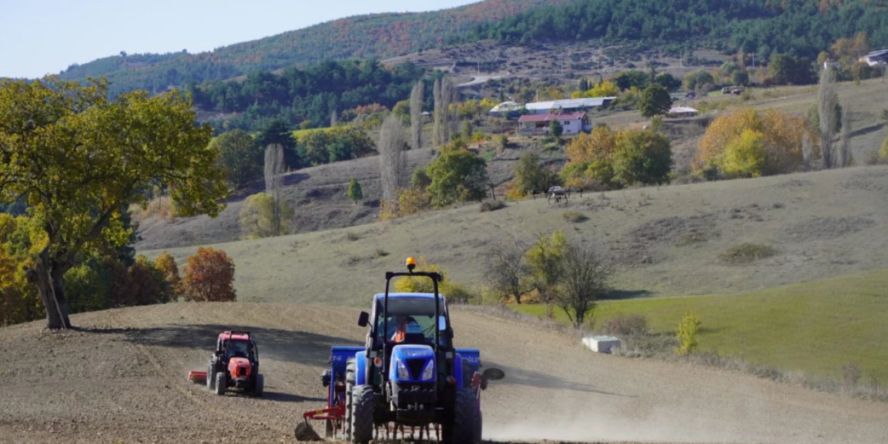 Türkiye'de ekmeğin 1 TL'ye satıldığı tek yer!