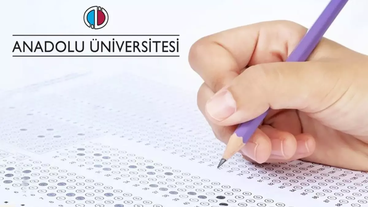 AÖF Güz Dönemi Sınav Sonuçları, Sınav Sonucu Sorgulama Ekranı