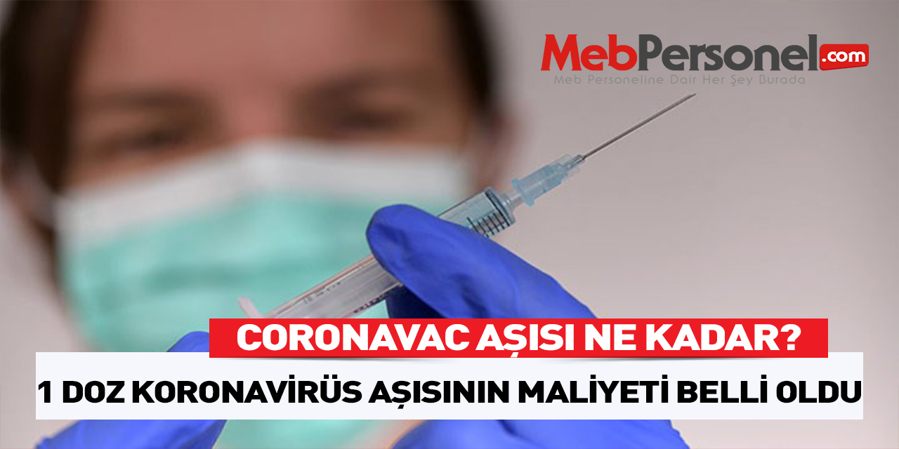 1 Doz CoronaVac Aşısının Kaç TL Olduğu Belli Oldu
