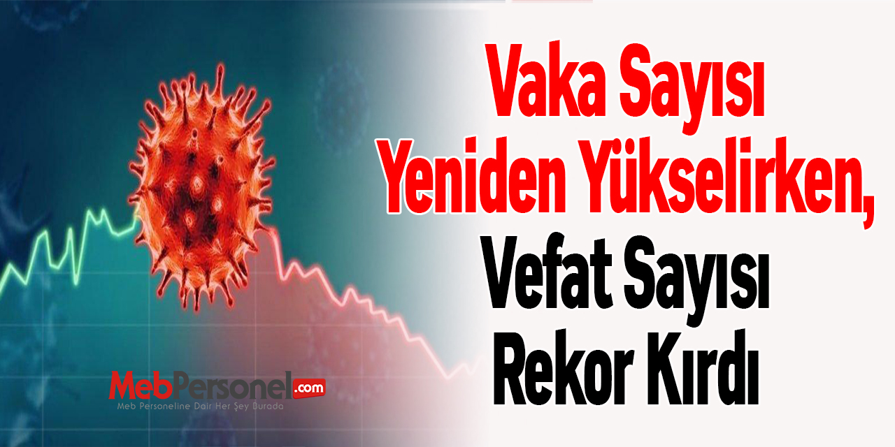 Vaka Sayısı Yeniden Yükselirken, Vefat Sayısı Rekor Kırdı