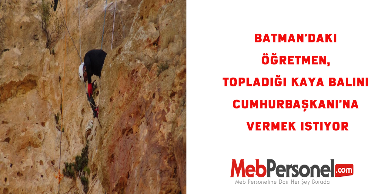 Batman'daki öğretmen, topladığı kaya balını Cumhurbaşkanı'na vermek istiyor