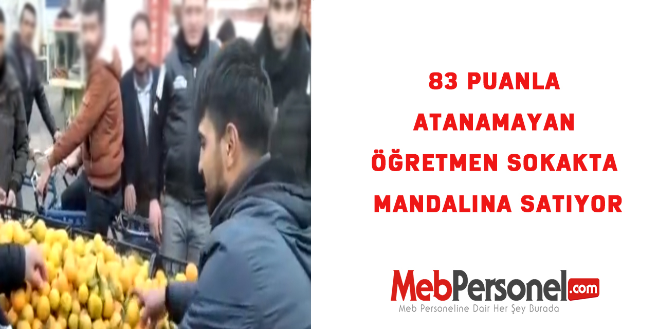 83 puanla atanamayan öğretmen sokakta mandalina satıyor