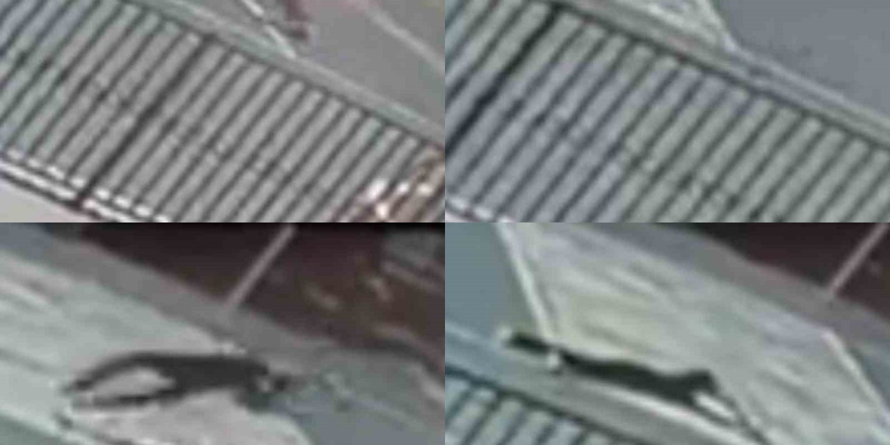 Okulda Kaza: Öğrenci Yoğun Bakımlık Oldu