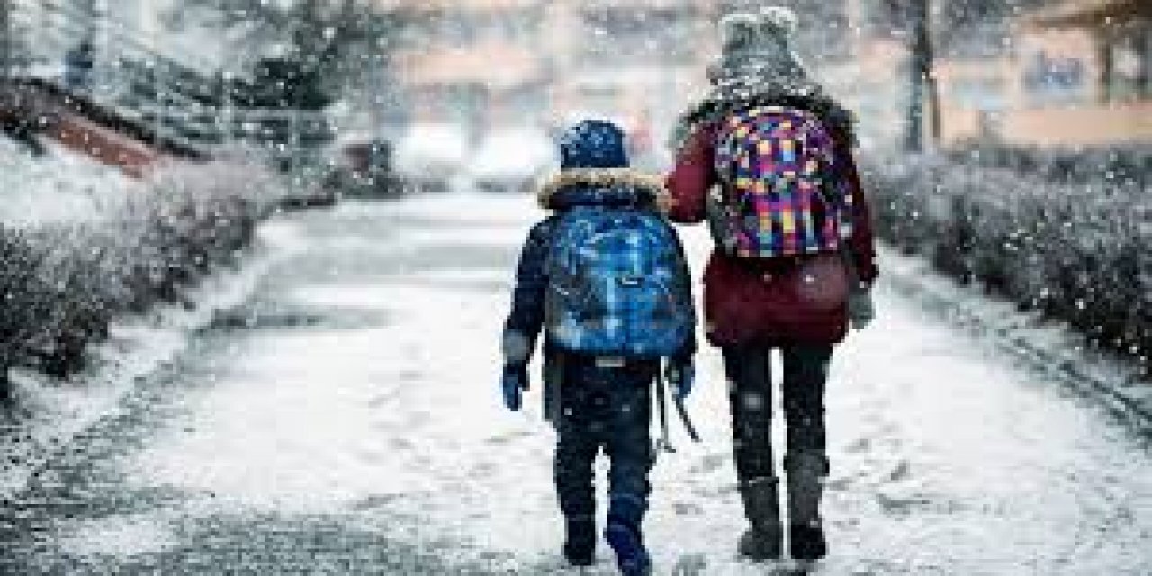 Bir ilimizde daha kar yağışı dolayısıyla okullar tatil edildi