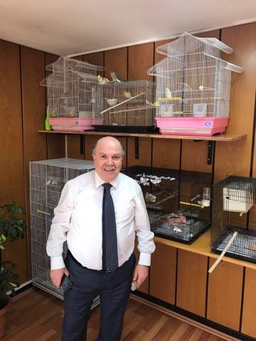 Müsteşar Yardımcısı Kuşlara Olan Sevdasını Makam Odasına Taşıdı