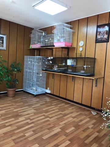 Müsteşar Yardımcısı Kuşlara Olan Sevdasını Makam Odasına Taşıdı